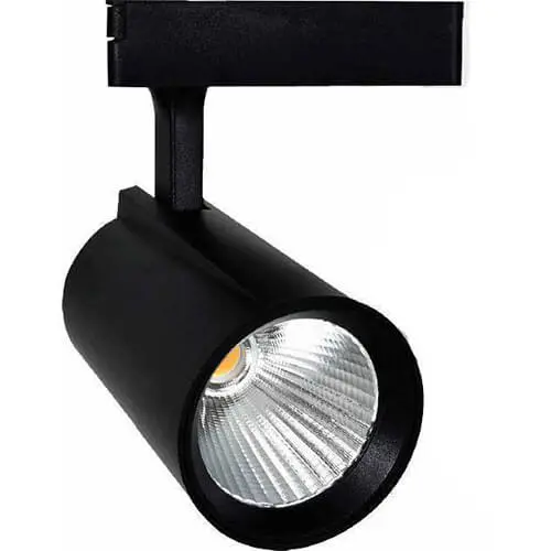 Fuji 30W Ray Spot Siyah Kasa Günışığı